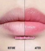 بالم لب طرح دیور